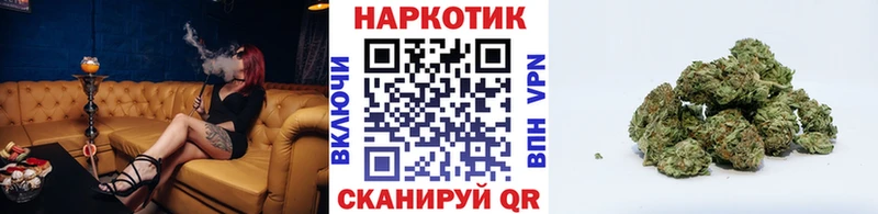 Магазины продажи наркотиков Егорьевск kraken ONION  Альфа ПВП  Гашиш  Кодеин  МЕФ  Бошки Шишки  Cocaine 
