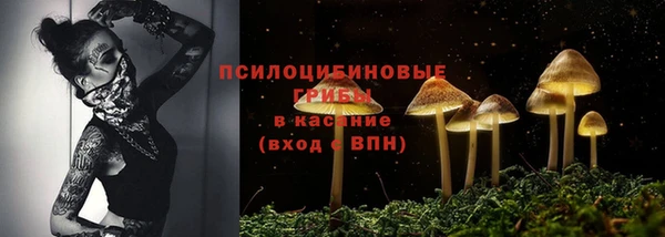 мескалин Бронницы