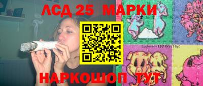 тгк Гай