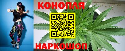индика Гагарин