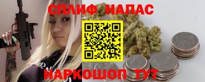 индика Гагарин