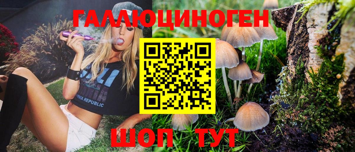 Псилоцибиновые грибы Psilocybe Егорьевск