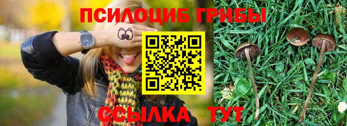 Галлюциногенные грибы прущие грибы  Егорьевск 