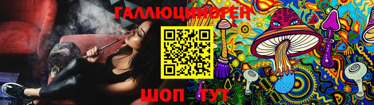 Псилоцибиновые грибы MAGIC MUSHROOMS  закладки  Егорьевск  Вход с VPN 