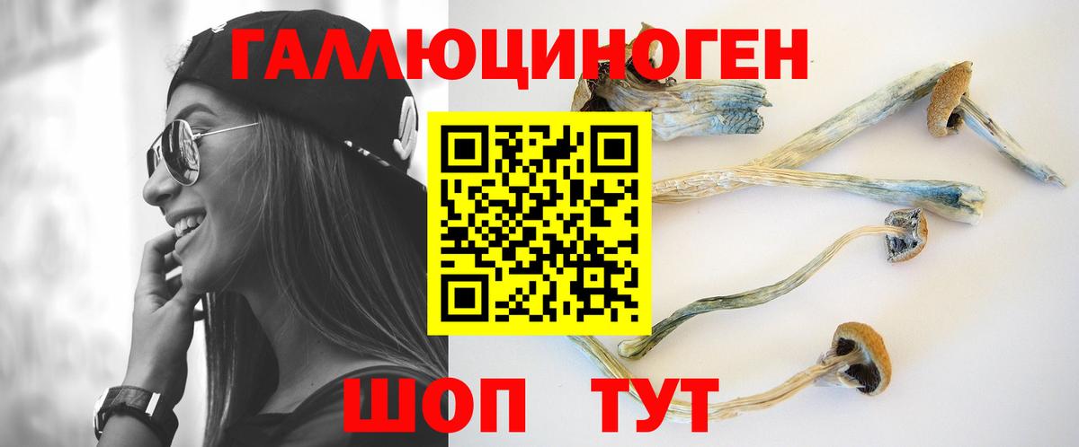 Псилоцибиновые грибы Magic Shrooms Егорьевск